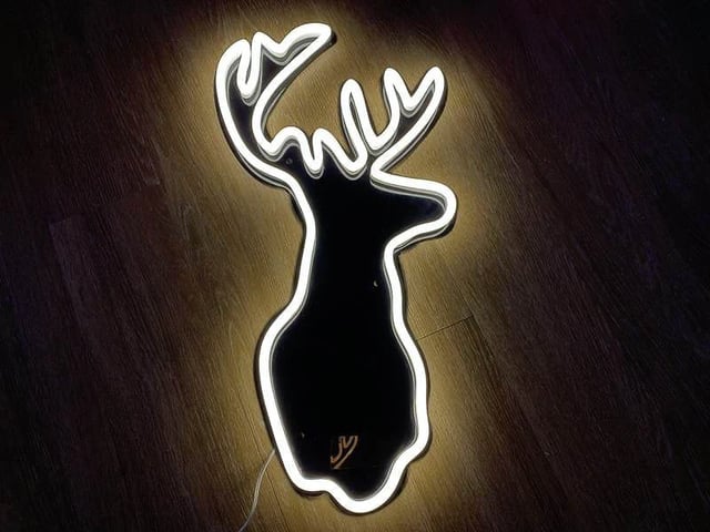 Diseños en neon led, neon flex, neon personalizados
