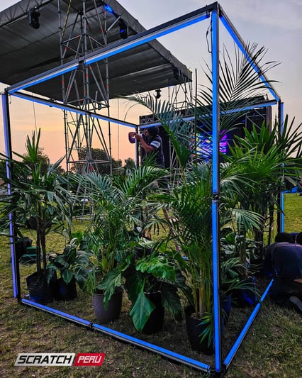 Delineado de cubos en pixel led controlados con madrix