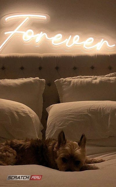 Diseños en neon led, neon flex, neon personalizados