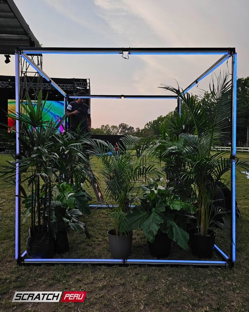 Delineado de cubos en pixel led controlados con madrix