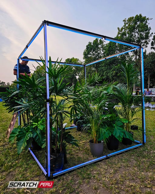Delineado de cubos en pixel led controlados con madrix