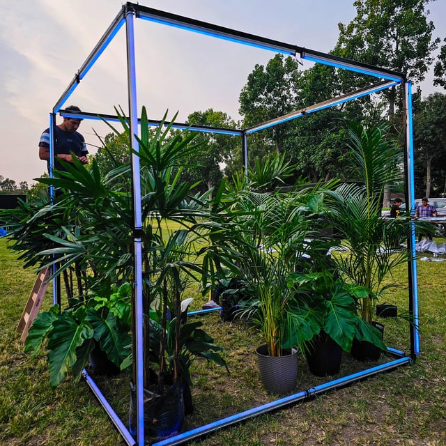 Delineado de cubos en pixel led controlados con madrix